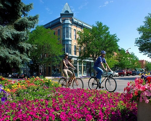 fort collins moving guide