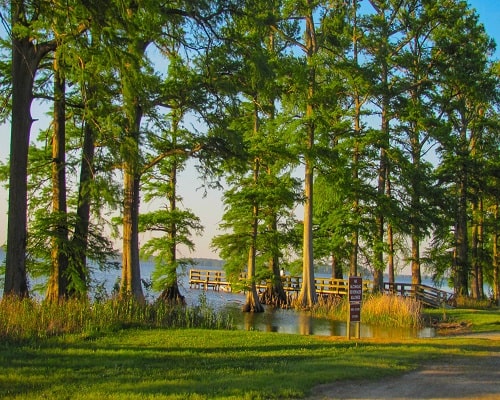 moving to jonesboro guide