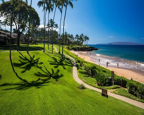 moving to maui guide